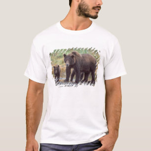 Camiseta oso pardo, Ursus arctos, oso grizzly, Ursus 3