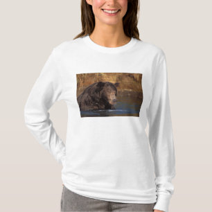 Camiseta oso pardo, Ursus arctos, oso grizzly, Ursus 5