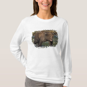 Camiseta oso pardo, Ursus arctos, oso grizzly, Ursus 6