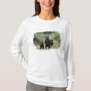 Camiseta oso pardo, Ursus arctos, oso grizzly, Ursus 7