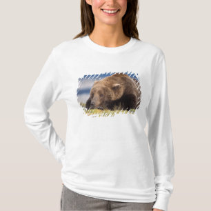 Camiseta oso pardo, Ursus arctos, oso grizzly, Ursus 8