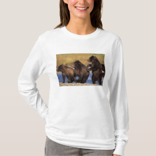 Camiseta oso pardo, Ursus arctos, oso pardo, Ursus