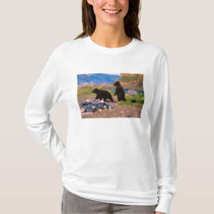 Camiseta Oso pardo, Ursus arctos, Península de Alaska,