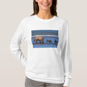 Camiseta Oso pardo, Ursus arctos, Península de Alaska, 2