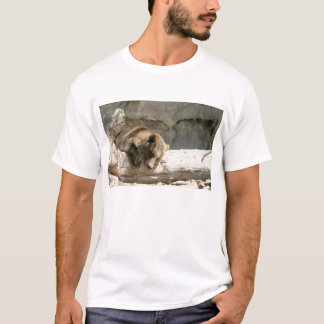 Camiseta Oso perezoso