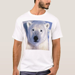 Camiseta Oso polar