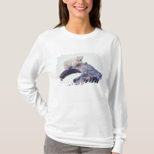 Camiseta Oso polar encima de un hueso de mandíbula de balle