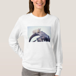 Camiseta Oso polar encima de un hueso de mandíbula de balle