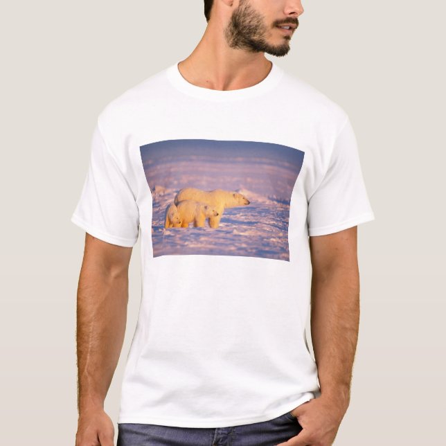 Camiseta Oso polar sembrado con cachorros de primavera cong (Anverso)