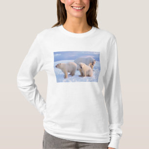 Camiseta Oso polar sembrado con costillas en hielo de la co