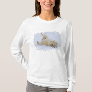 Camiseta oso polar, Ursus maritimus, cachorro rodando