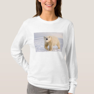 Camiseta oso polar, Ursus maritimus, sobre hielo y nieve, 2