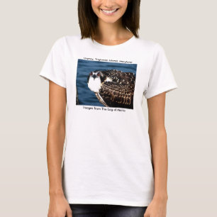 Camiseta Osprey, isla de Tilghman, puerto del Dogwood,