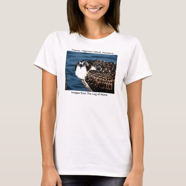 Camiseta Osprey, isla de Tilghman, puerto del Dogwood, (Anverso)