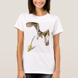Camiseta Osprey viniendo hacia ti