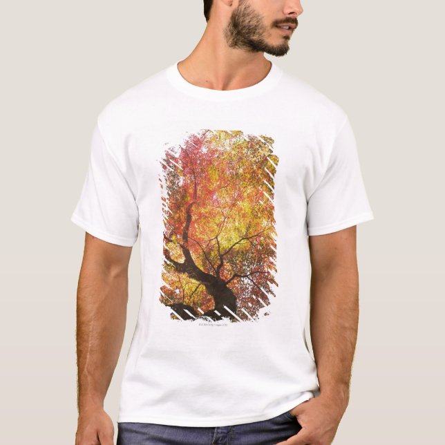Camiseta Otoño (Anverso)