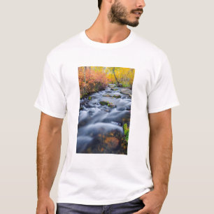 Camiseta Otoño a lo largo de Lundy Creek, California