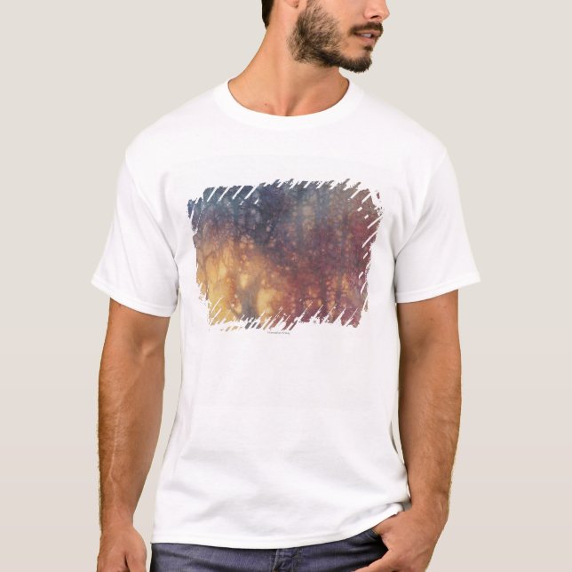 Camiseta Otoño colorido (Anverso)