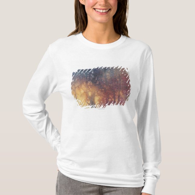 Camiseta Otoño colorido (Anverso)