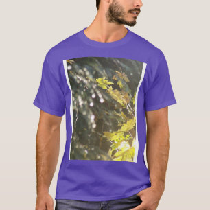 Camiseta Otoño Sun Rays 53