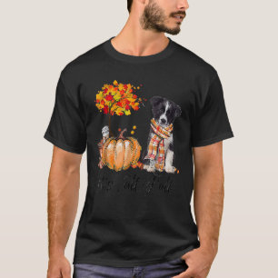Camiseta Otoño y todos los bordes de la calabaza de Collie