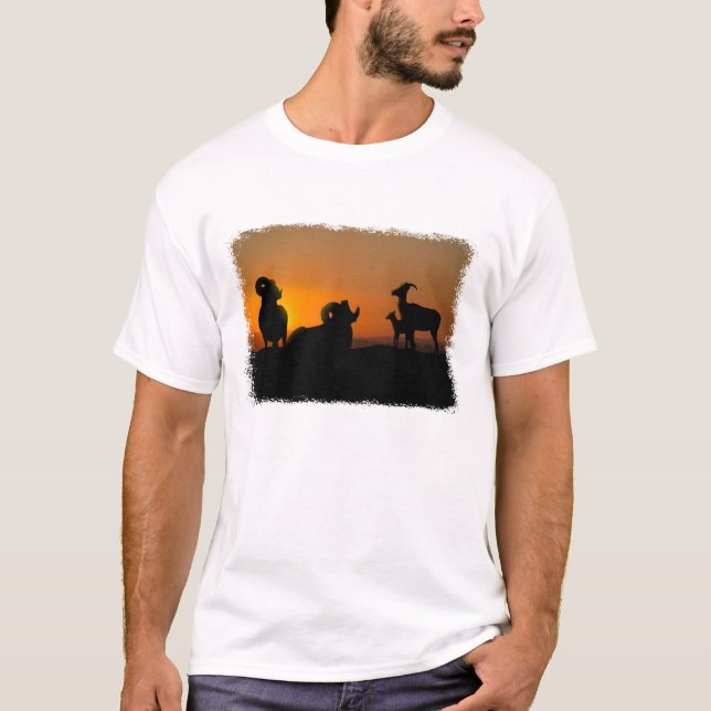 Camiseta Oveja Bighorn (Anverso)