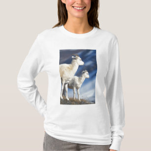 Camiseta oveja de Dall, Ovis dalli, oveja y cordero