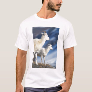 Camiseta oveja de Dall, Ovis dalli, oveja y cordero