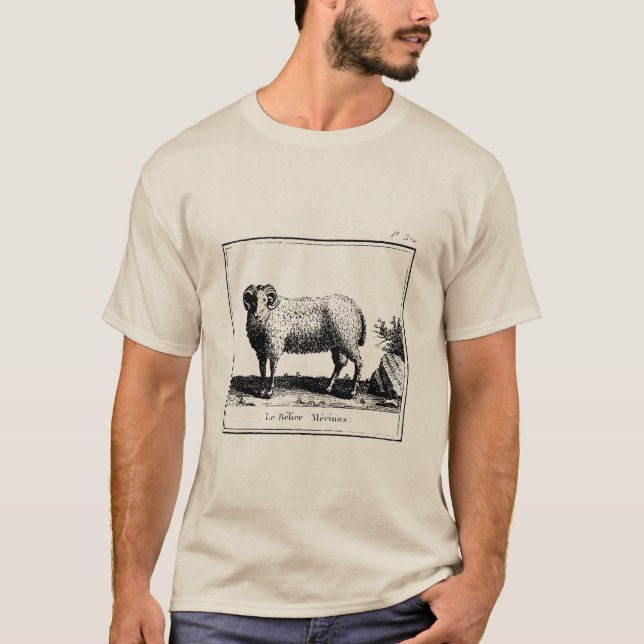 Camiseta Oveja de la Antigua Merino (Anverso)