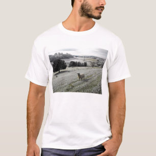 Camiseta Oveja en un valle helado