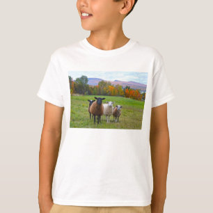Camiseta Oveja Vermont en otoño