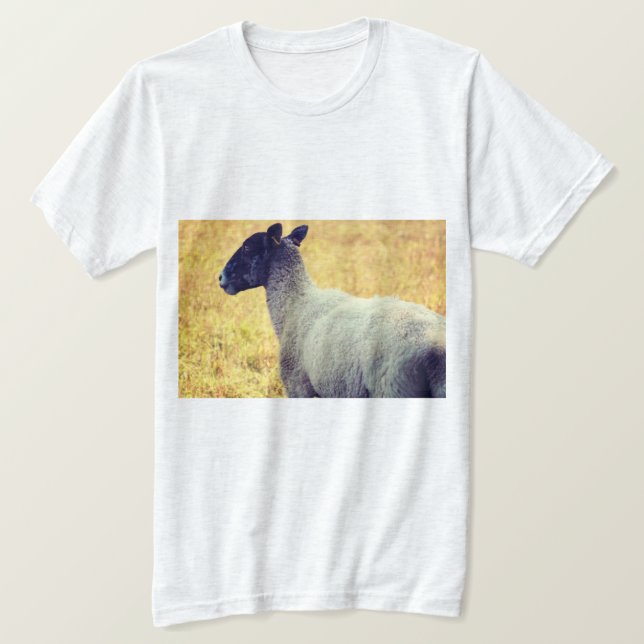 Camiseta Ovejas (Anverso del diseño)