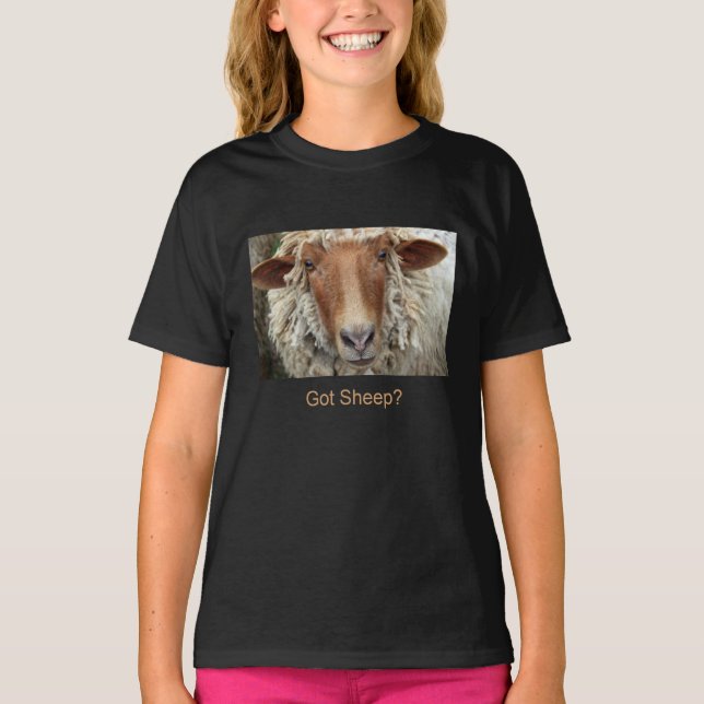 Camiseta ¿Ovejas conseguidas? (Anverso)