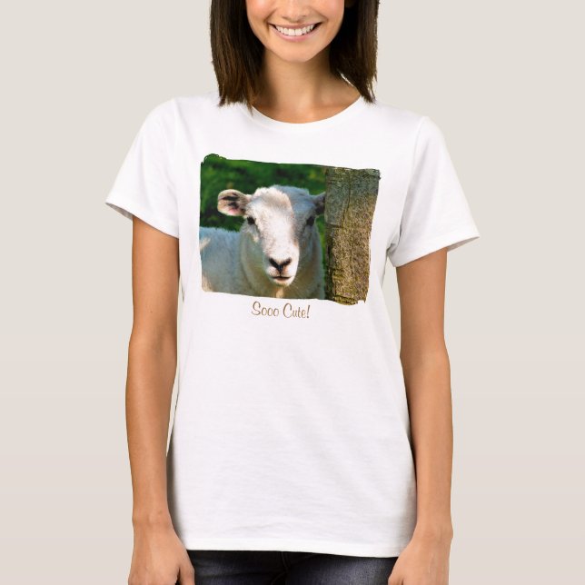CAMISETA OVEJAS CORTAS (Anverso)