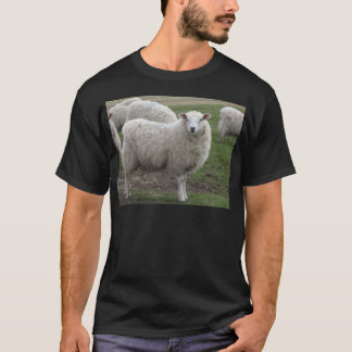 Camiseta Ovejas de Cheviot