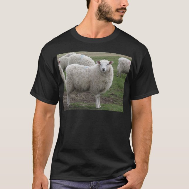 Camiseta Ovejas de Cheviot (Anverso)