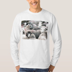 Camiseta Ovejas de Herdwick