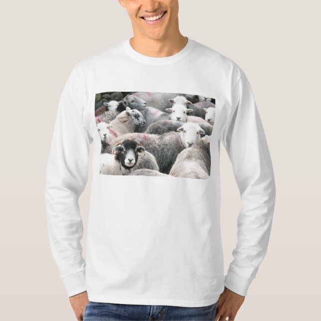 Camiseta Ovejas de Herdwick (Anverso)