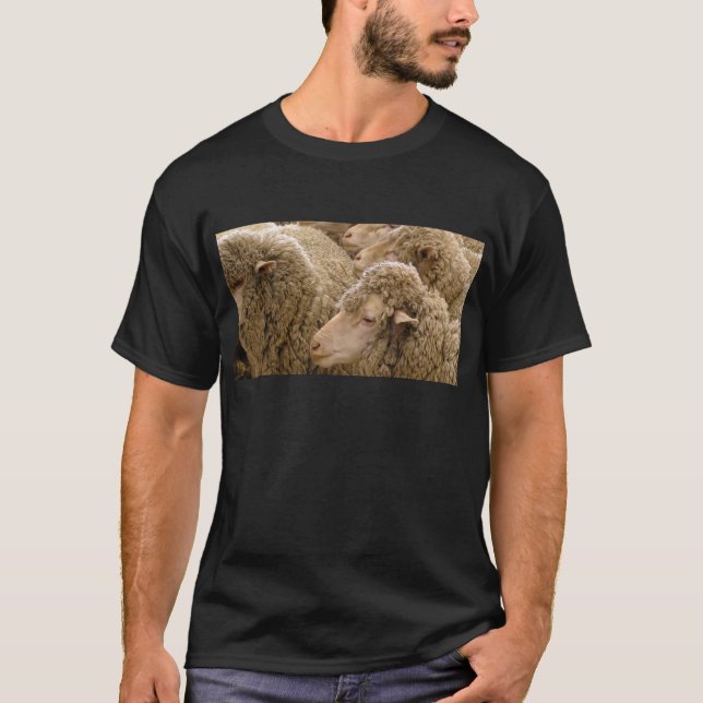 Camiseta Ovejas merinas (Anverso)