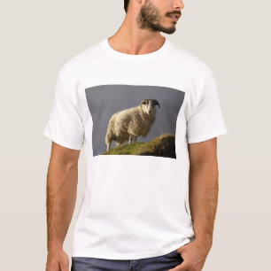 Camiseta Ovejas, península de Trotternish, isla de Skye,