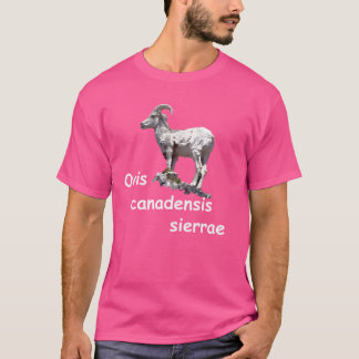 Camiseta Ovis Canadensis Sierrae Sierra Nevada Bighorn Shee