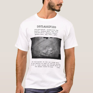 Camiseta OVNI - Desclasificado DOW-UAP-PR019, UAP MEDIO ORI