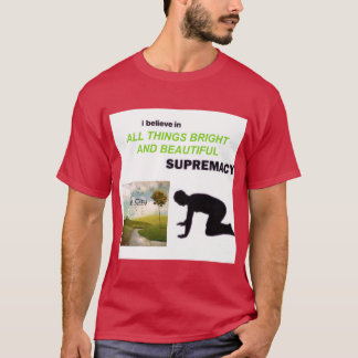 Camiseta OWL CITY ALLHINGS BRIGHT AND BEAUTIFUL vintage