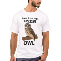Owl Look In My Eyes Owl