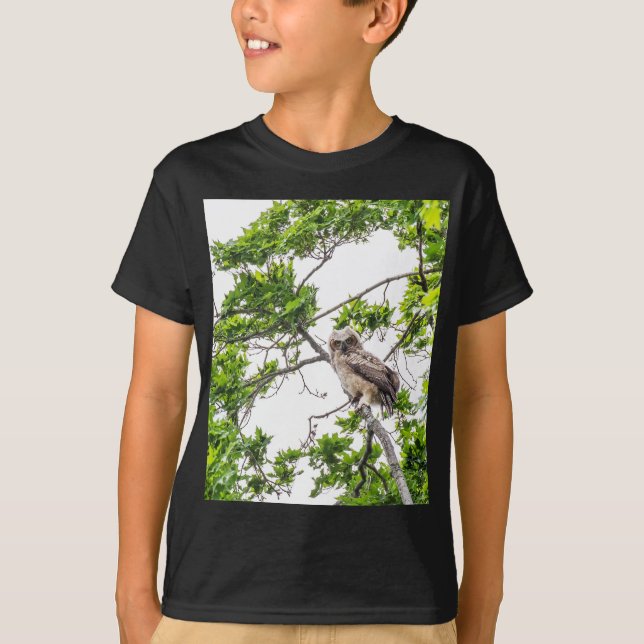 Camiseta Owlet En Una Rama De Árbol De Arce (Anverso)