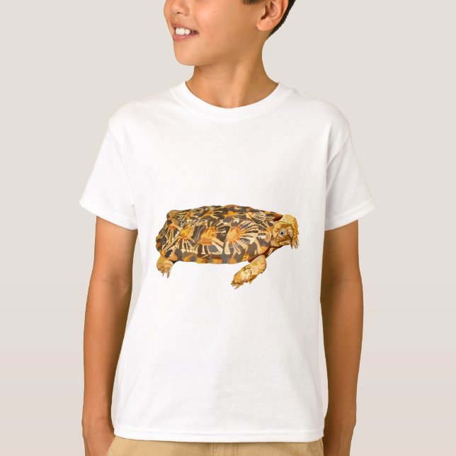 Camiseta P es para Pancake Tortoise (Anverso)