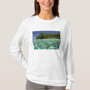 Camiseta Pacífico Sur, Polinesia Francesa, Marruecos 3
