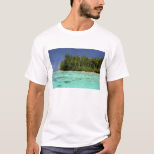 Camiseta Pacífico Sur, Polinesia Francesa, Moorea 2