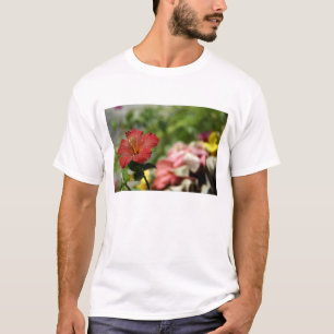 Camiseta Pacífico Sur, Polinesia Francesa, Sociedad 2