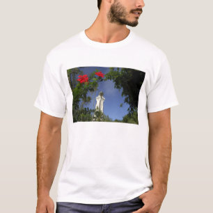 Camiseta Pacífico Sur, Polinesia Francesa, Tahití. Hibisco